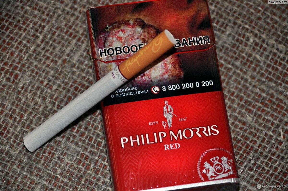 Филип Моррис рэд